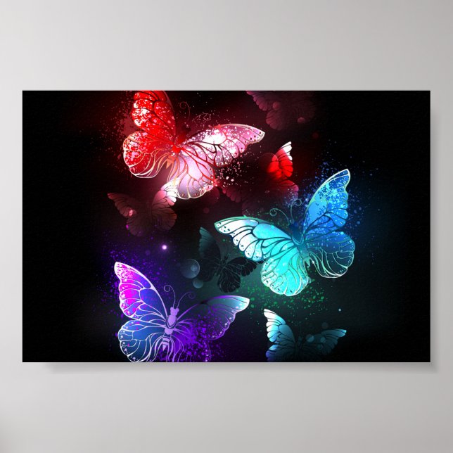 Póster Tres mariposas brillantes en el fondo nocturno (Frente)