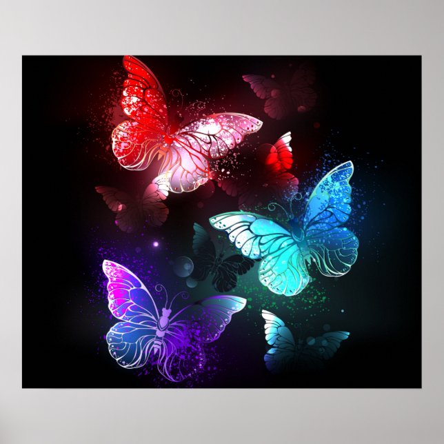 Póster Tres mariposas brillantes en el fondo nocturno (Frente)