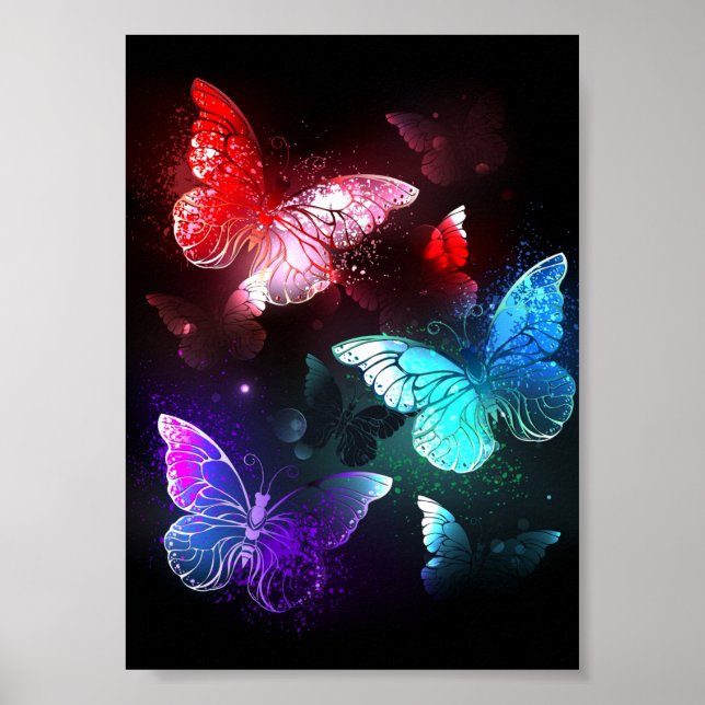 Póster Tres mariposas brillantes en el fondo nocturno (Frente)
