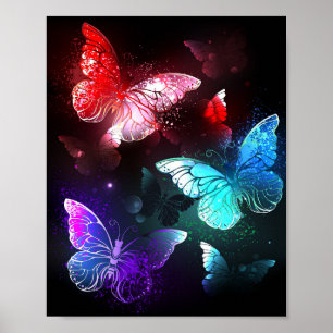 Póster Tres mariposas brillantes en el fondo nocturno