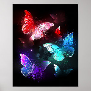 Póster Tres mariposas brillantes en el fondo nocturno