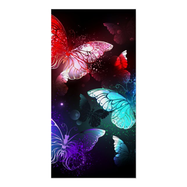 Póster Tres mariposas brillantes en el fondo nocturno (Anverso)