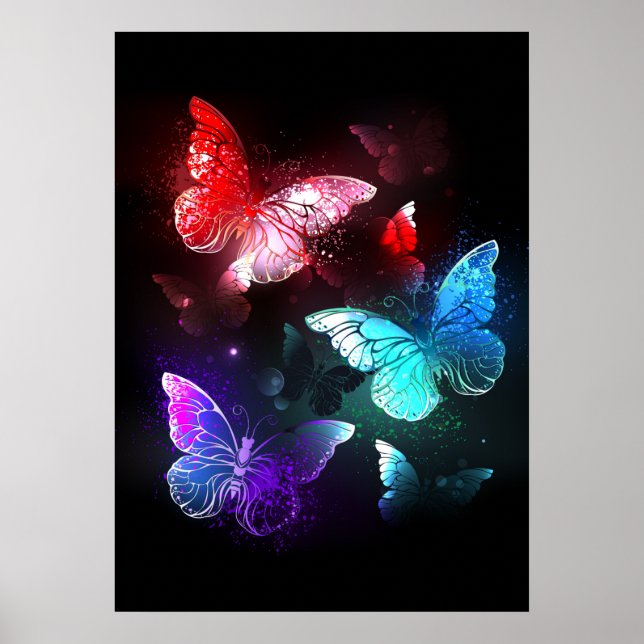 Póster Tres mariposas brillantes en el fondo nocturno (Frente)