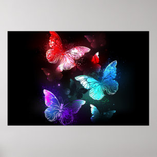 Póster Tres mariposas brillantes en el fondo nocturno