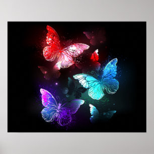 Póster Tres mariposas brillantes en el fondo nocturno