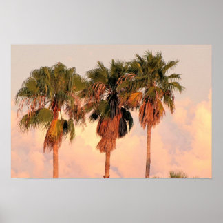 Póster Tres palmeras bañadas en cálida puesta de sol