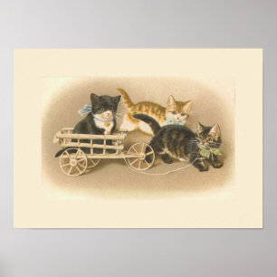 Póster Tres Pequeños Gatitos