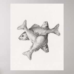 Póster Tres pescados