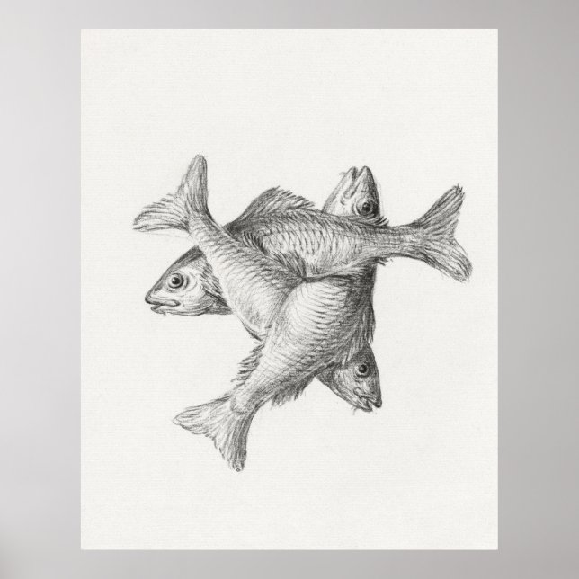 Póster Tres pescados (Frente)