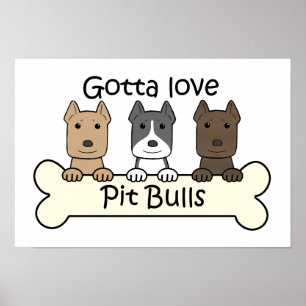 Póster Tres Pitbulls