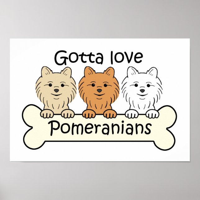 Póster Tres Pomeranianos (Frente)