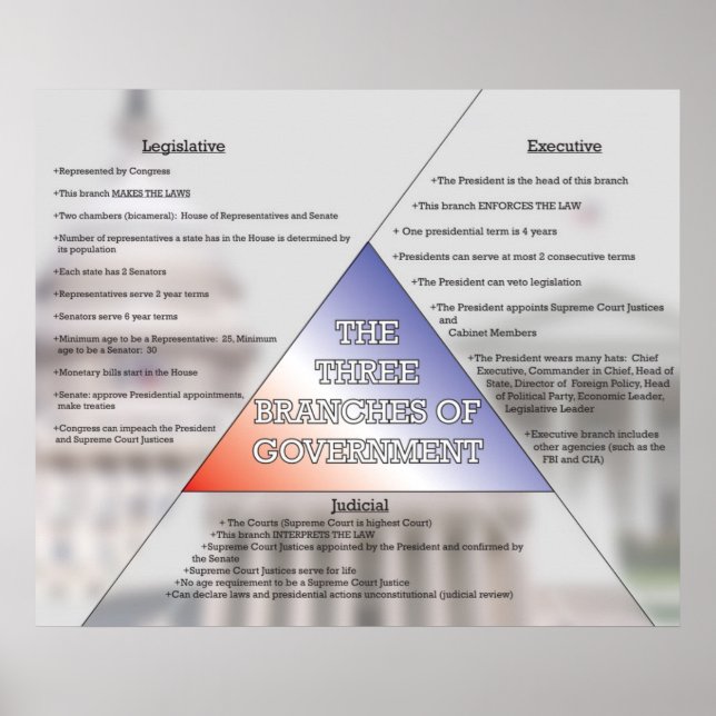 Póster Tres ramas del Gobierno *ACTUALIZADAS* (Frente)