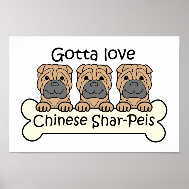 Póster Tres shar-peis chinos (Frente)