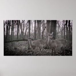 Póster Tres sí en la granja