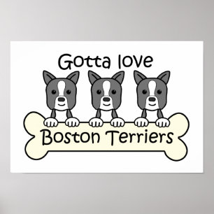 Póster Tres terrieres de Boston