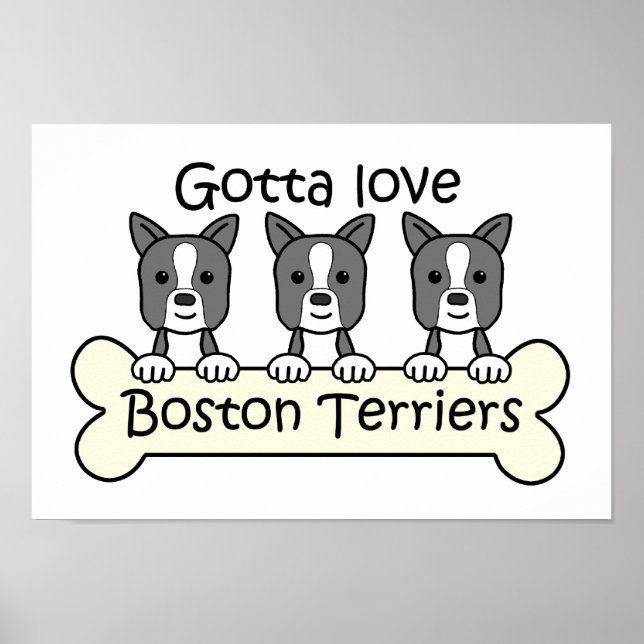 Póster Tres Territorios de Boston (Frente)