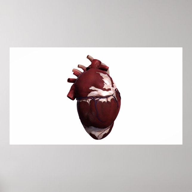Póster Tres Vistas Dimensionales Del Corazón Humano, Lado (Frente)