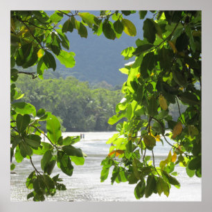 Póster Tribulación de Cabo - Poster de Australia