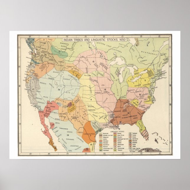 Póster Tribus Indígenas Americanas y Mapa Lingüístico (Frente)