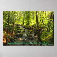 Tributario del embalse de Quabbin
