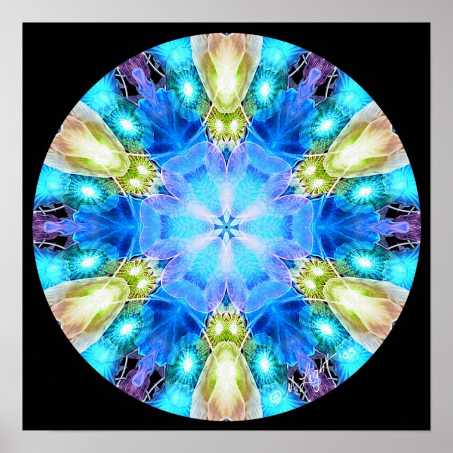 Póster "Tributo a Chihuly" Mandala Poster/ Print (Frente)
