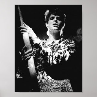 Póster tributo de Ziggy Stardust de David Bowie de
