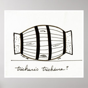 Póster Trichuris trichiuria