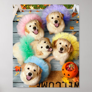 Póster Trick o tratamiento de Cachorros dorados