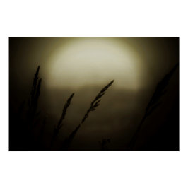Póster Trigo al atardecer