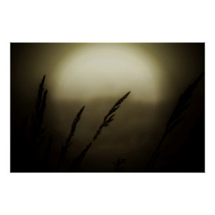Póster Trigo al atardecer