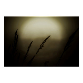 Póster Trigo al atardecer