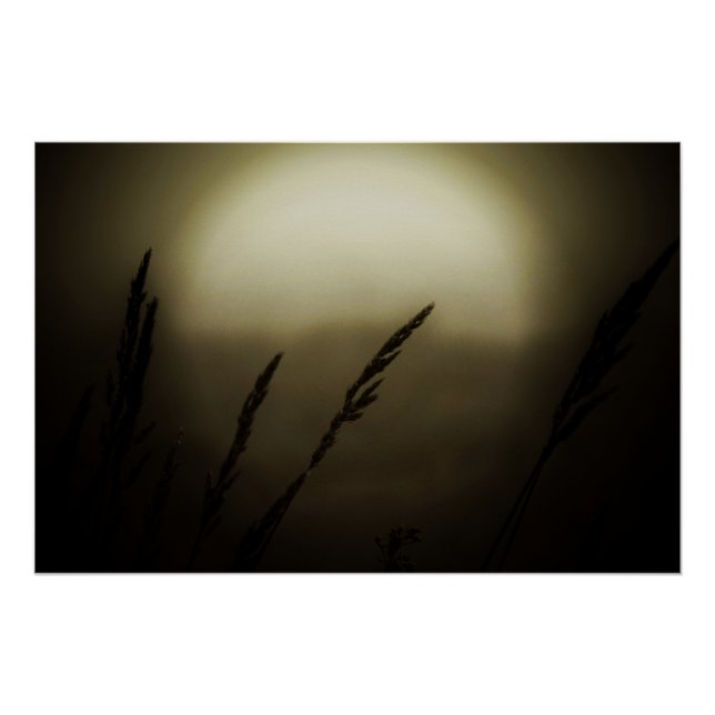 Póster Trigo al atardecer (Anverso)