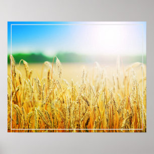 Póster Trigo poster