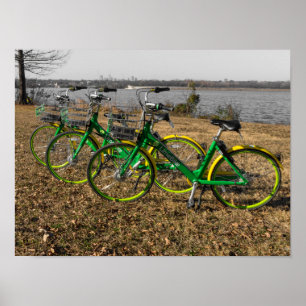 Póster Trillizos de bicicletas