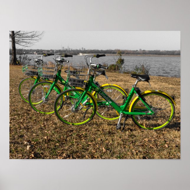 Póster Trillizos de bicicletas (Frente)