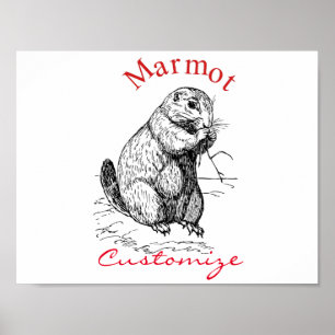 Póster Trineo de animales de la marmota