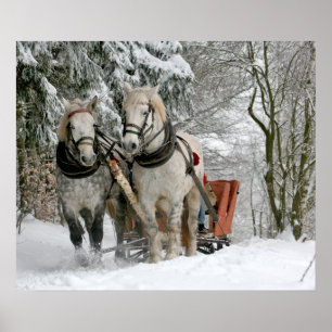 Póster trineo+paseo,nieve,bosque,caballo,invierno,blanco,