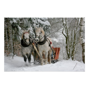 Póster trineo+paseo,nieve,bosque,caballo,invierno,blanco,