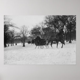 Póster Trineo traído por caballo en Central Park, New