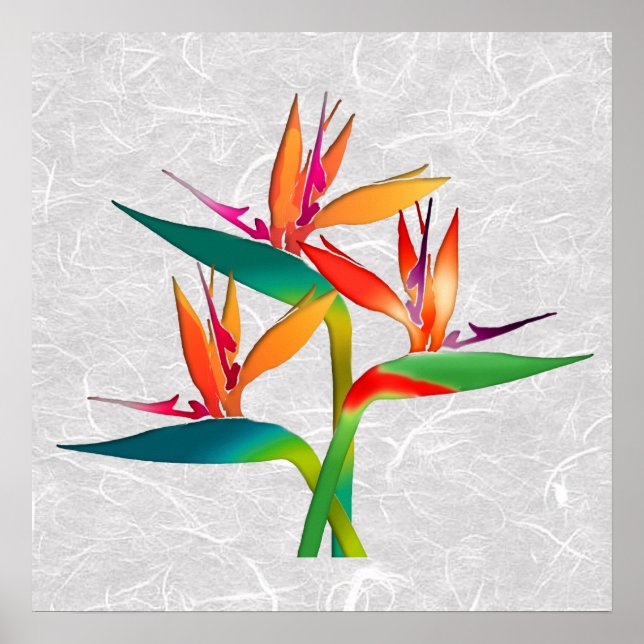 Póster Trío de Aves del Paraíso (Frente)