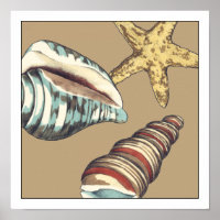 Trío de Shell en Khaki