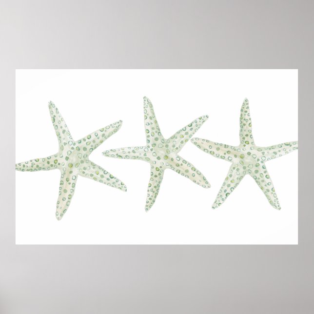 Póster Trío de Starfish de color agua (Frente)