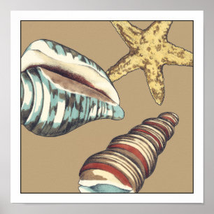 Póster Trío Shell en Khaki