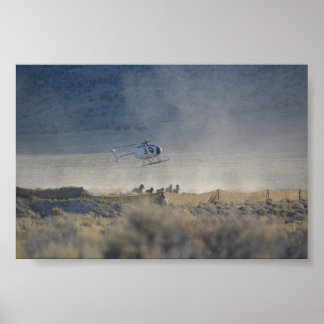 Póster Triple B Round-up Butte Valley Nevada Poster