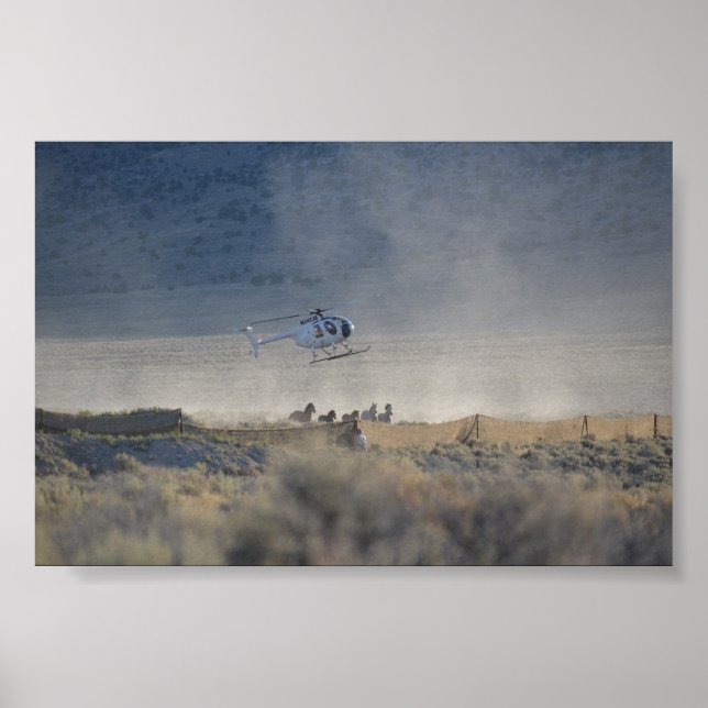 Póster Triple B Round-up Butte Valley Nevada Poster (Frente)