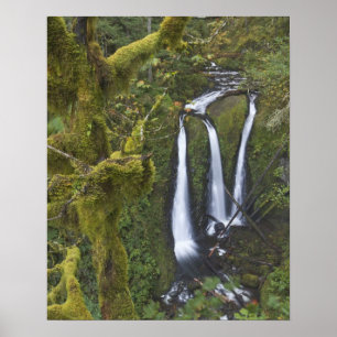 Póster Triple Falls, desfiladero del río Columbia