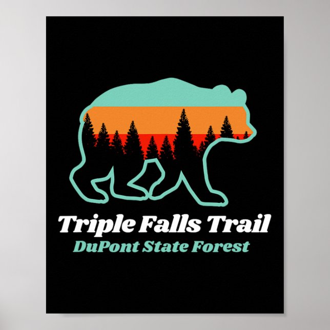 Póster Triple Falls Trail Dupont State Forest Bear Souven (Frente)