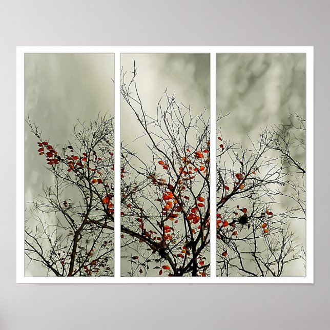 Póster Tríptico con motivo natural (Frente)