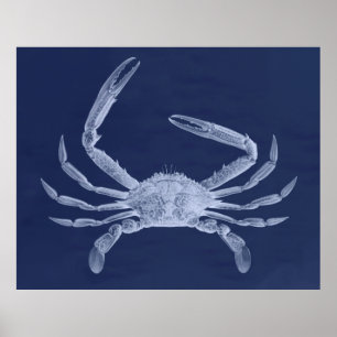 Póster Tríptico de gran tamaño del cangrejo en azul