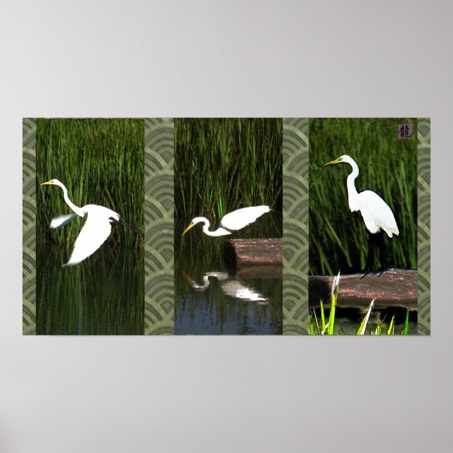 Póster Triptilca De Grúa Blanca (Egret) (Frente)